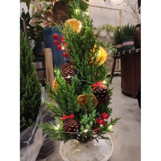 Đèn nháy trang trí cây thông Noel
