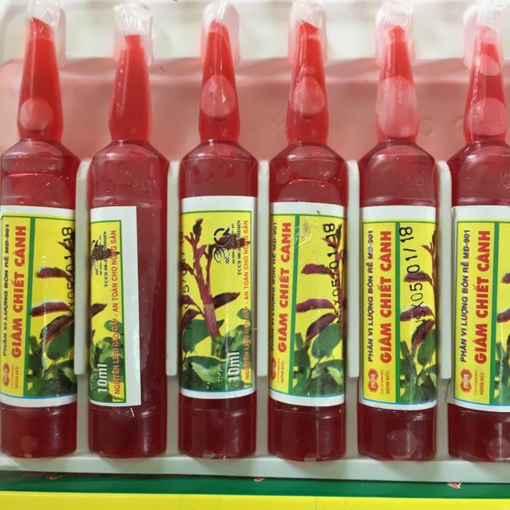 [SIEURE] Vỉ 10 ống kích thích ra rễ chuyên dùng cho giâm, chiết cành MĐ 901 hàng đẹp, phân phối chuyên nghiệp.