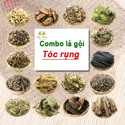 Combo lá gội cho tóc rụng