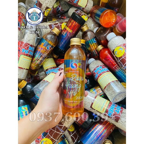 Combo câu chuyên rô phi - Sapham