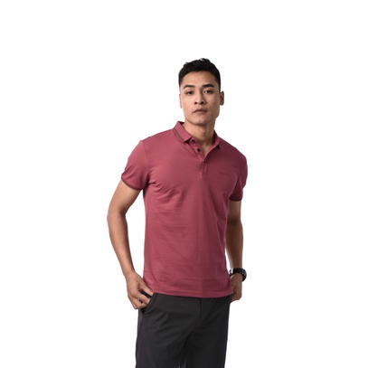 ÁO POLO NAM, POLO LACOST NAM, POLO CỔ DỆT BABOYKA [ACT450.1] | BigBuy360 - bigbuy360.vn