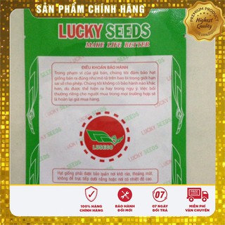 Hạt Giống Hoa Cúc Châu Phi(20 hạt)
