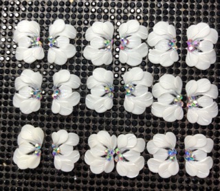 hoa bột nail