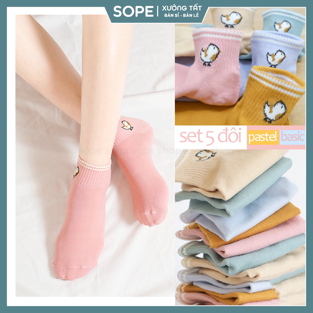 Tất cổ ngắn họa tiết hình gà con đáng yêu, set tất vớ chất liệu vải co giãn bốn chiều - Sope Shop