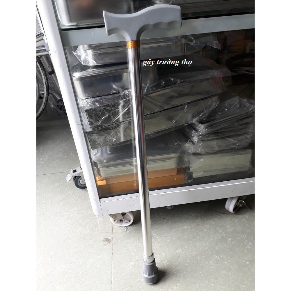 Batoong Thẳng Lucass Hỗ Trợ Người Già Di Chuyển