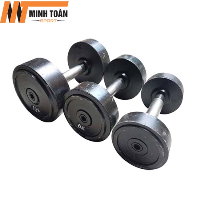 Tạ sắt cầm tay