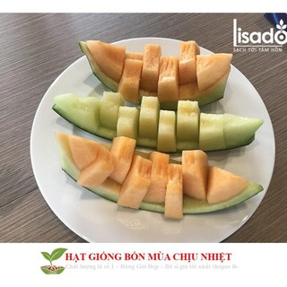 Hạt Giống Dưa Lưới Lõi Vàng Oval  (10 hạt)