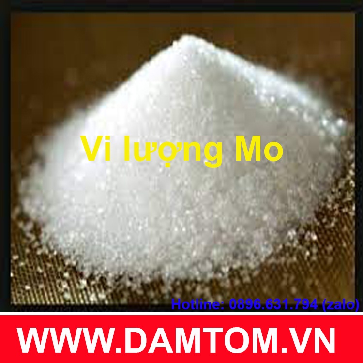 Vi lượng Molypden  Chelate  - gói 100G