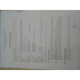 Set 2 núm ti Comotomo chính hãng