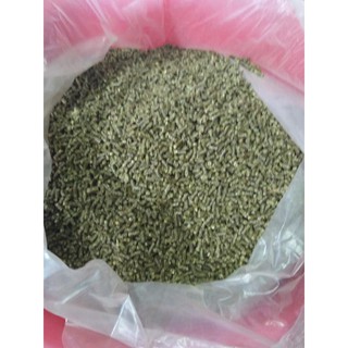 Cỏ linh lăng Alfalfa  dành cho gà đá
