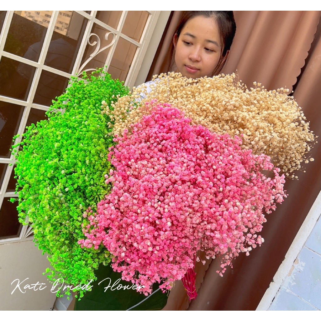 Hoa baby khô Hoa khô quà tặng decor trang trí