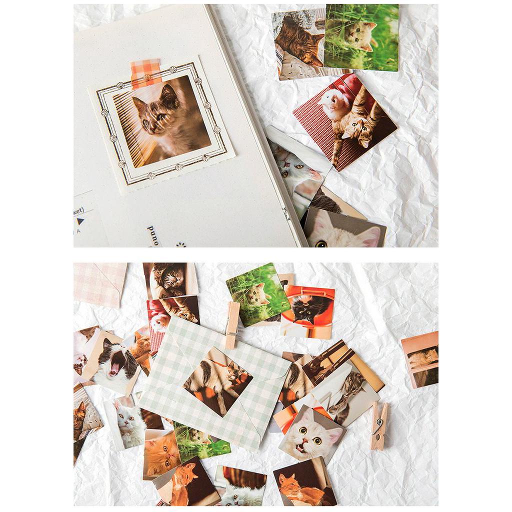Set 46 Miếng Dán Trang Trí Hình Mèo Dễ Thương