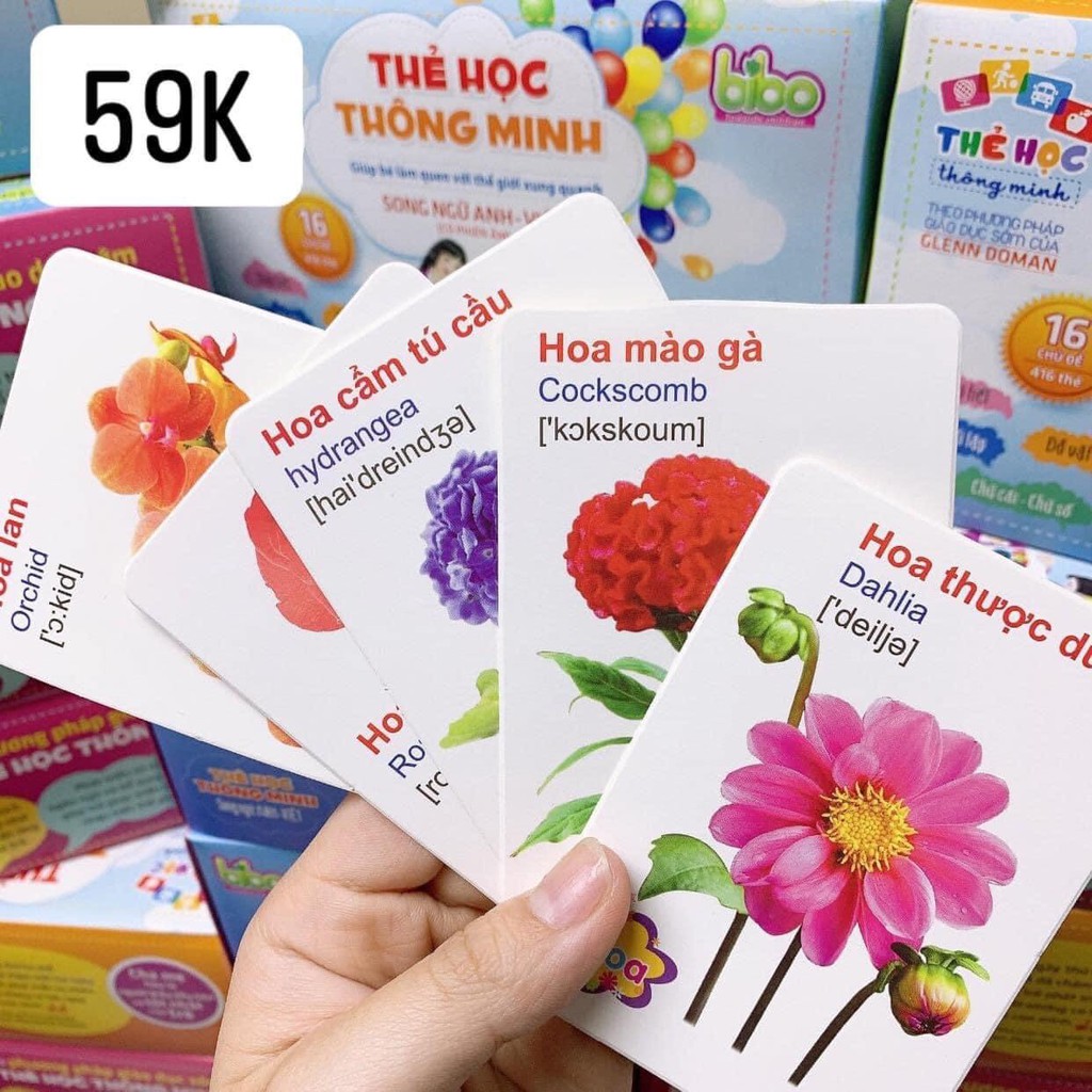 Trọn Bộ 416 Thẻ Học Thông Minh 16 Chủ Đề 416 Thẻ Song Ngữ Anh Việt Cho Bé