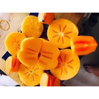 Cây Giống Hồng giòn không hạt nhật bản