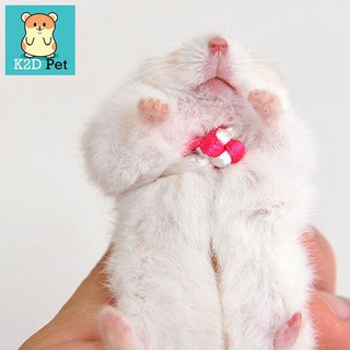 Dây dắt hamster, thỏ, Sóc , đuôi mập, chuột lang