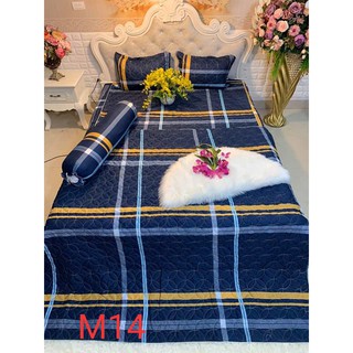 bộ chăn ga gối phủ trần bông[ 1m6 x 2m, 1m8 x 2m, 2m x 2m2 ]