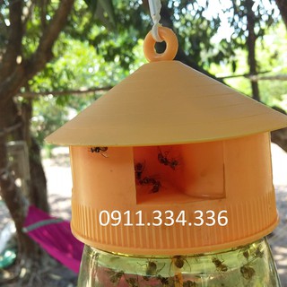 - Dụng Cụ Bẫy Ruồi Vàng chất lượng.
