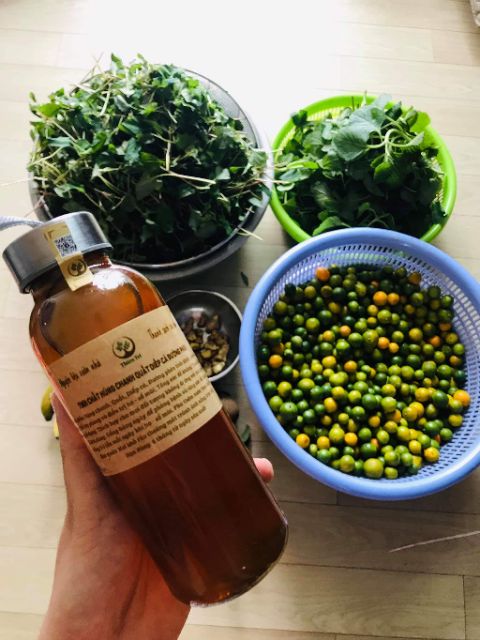 (1 TẶNG 1) Sir.o húng chanh trị h.o, s.ổ m.ũi- 300ml chai thủy tinh. Homemade từ nguyên liệu vườn nhà.