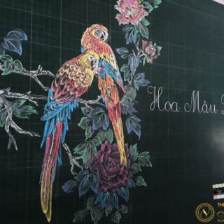 PHẤN LỤC GIÁC 16 VIÊN