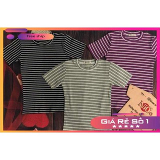 ( LTTP ) ❌❌❌COMBO Túi đựng áo THUN BODY mẫu mới❌❌❌