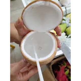 Dừa xiêm Bến Tre cỡ mini