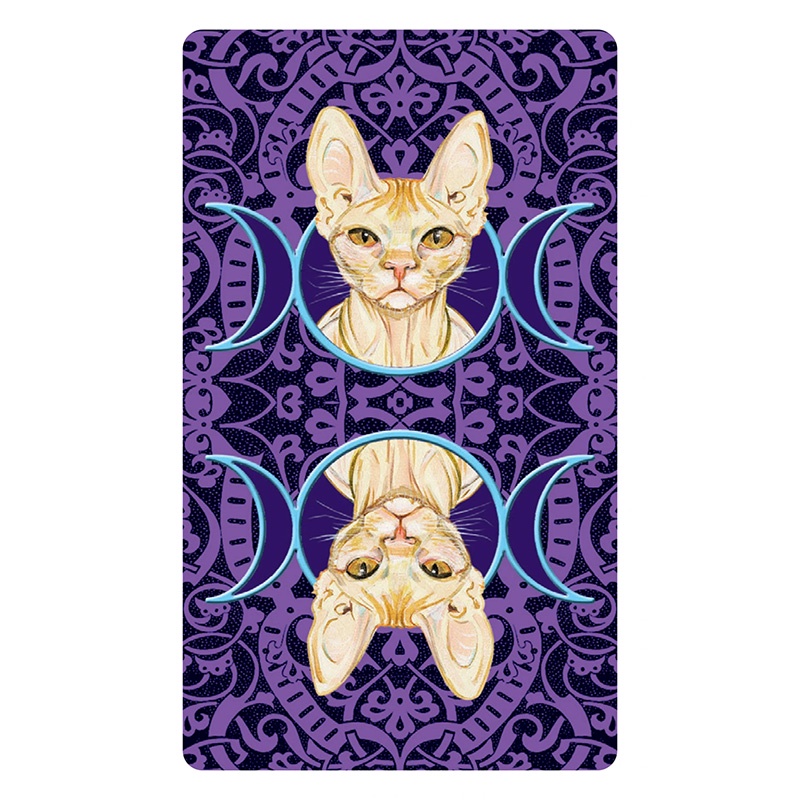 Bộ Bài Tarot of Pagan Cats - Mini Edition (Mystic House Tarot Shop) - Bài Gốc Authentic Chính Hãng 100%