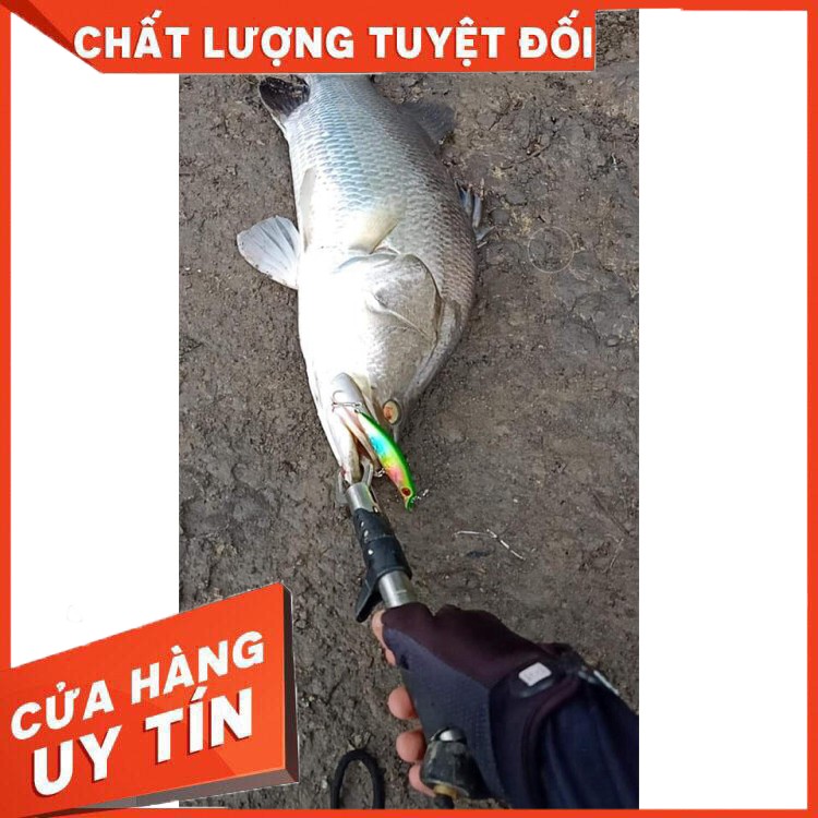 Mồi câu Sasuke chuyên lure chẽm, vược