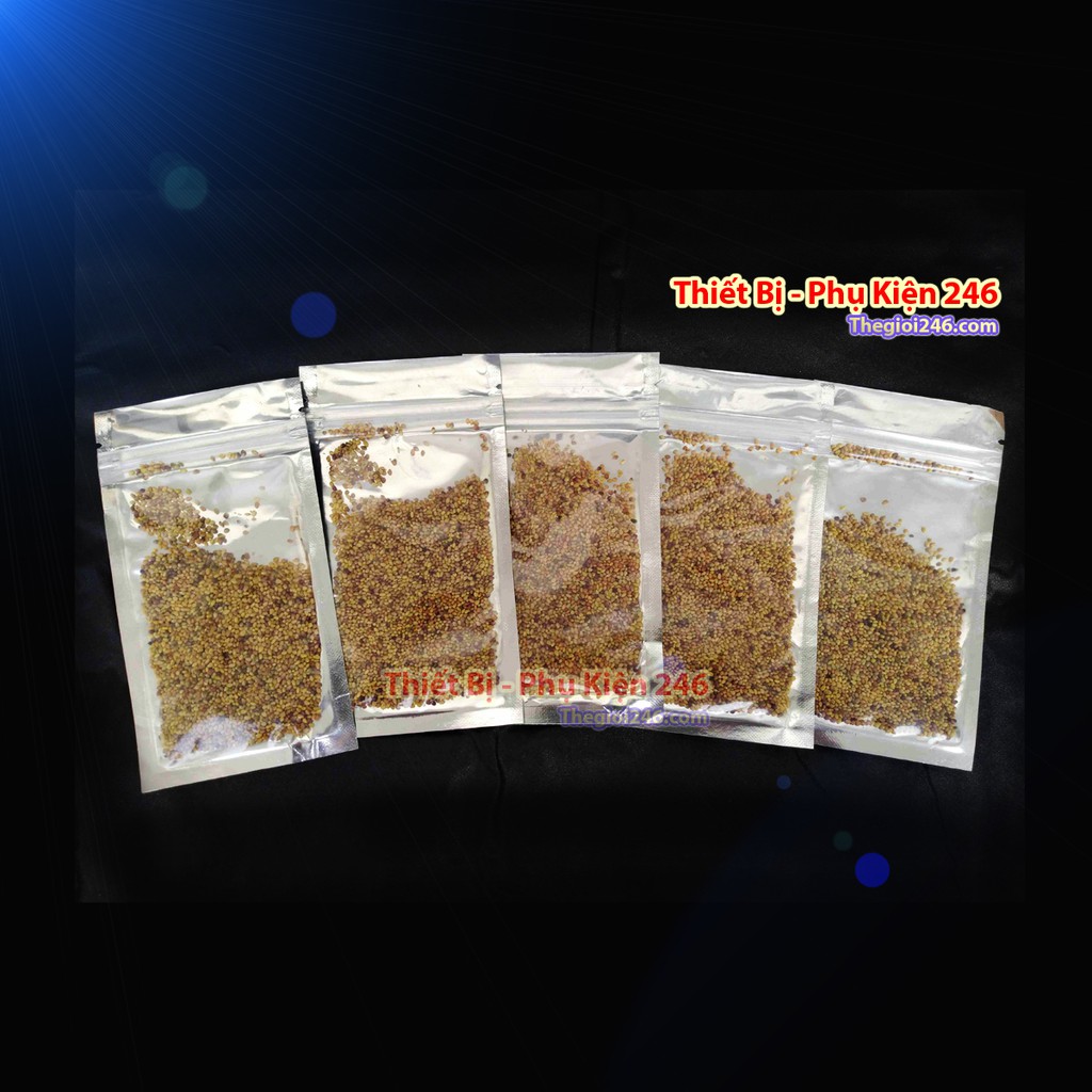 1 gói Hạt giống thủy sinh Cây Clover cỏ Ba lá tình yêu