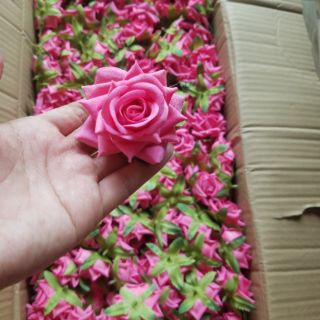 Đầu hoa hồng nhung cao cấp