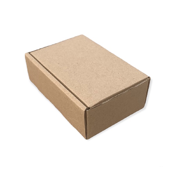ECOBOX - combo 20 hộp carton nắp gài size 12x8x4