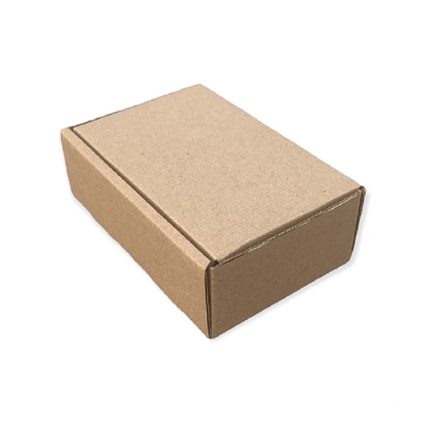 ECOBOX - combo 100 hộp carton nắp gài size 12x8x4