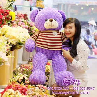 Gấu teddy Áo Len 1m4 màu tím hình chụp thật HCM giá rẻ