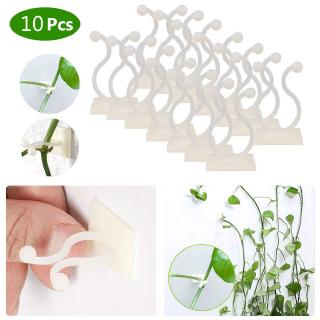Set 10 Kẹp Cố Định Cây Trồng Gắn Tường Tiện Dụng