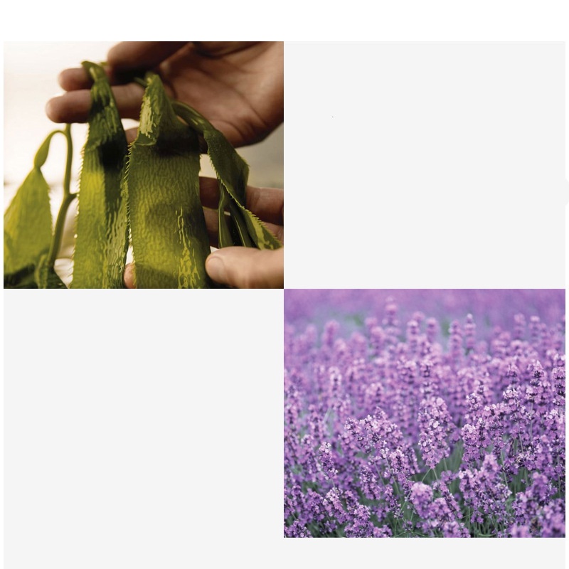 Mặt nạ làm trắng chăm sóc vùng kín thoải mái lành tính hiệu quả cao cho da