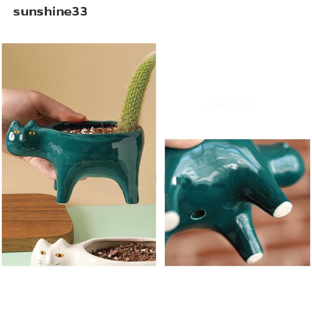Chậu Gốm Trồng Cây Mọng Nước Hình Mèo / Xương Rồng Dễ Thương