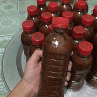 Mắm tép tại gia Việt Nam