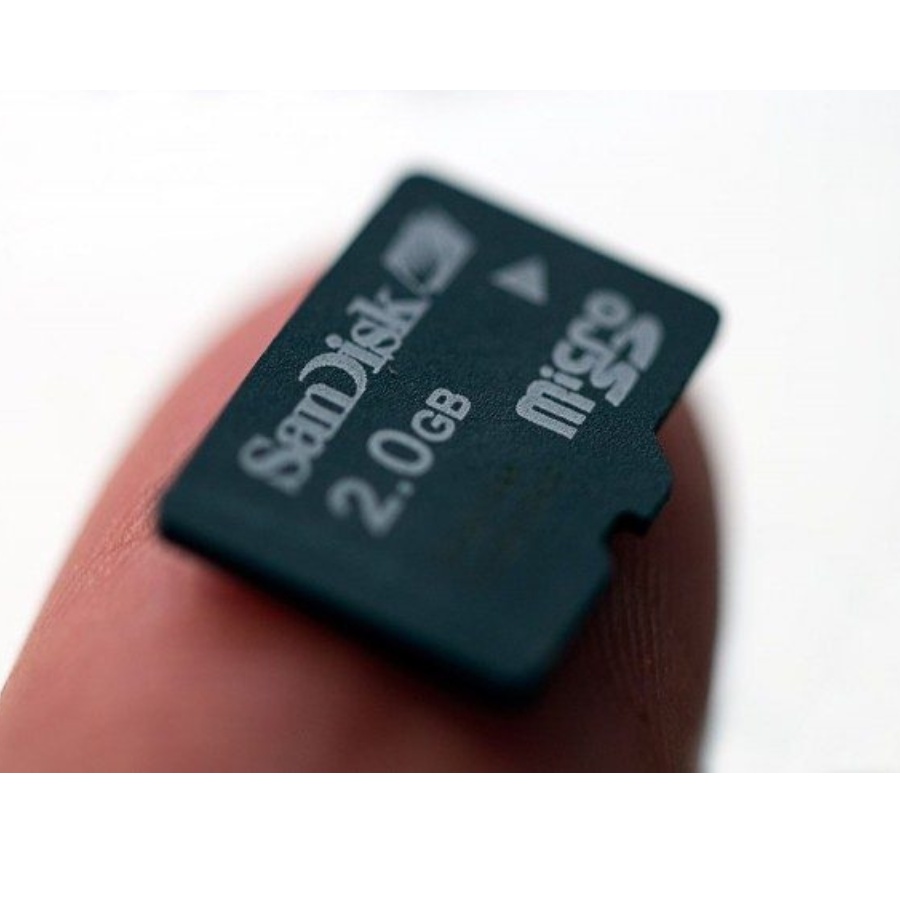 Loa bẫy cút bluetooth mini + thẻ nhớ file tiếng chim chuyên bẫy cút
