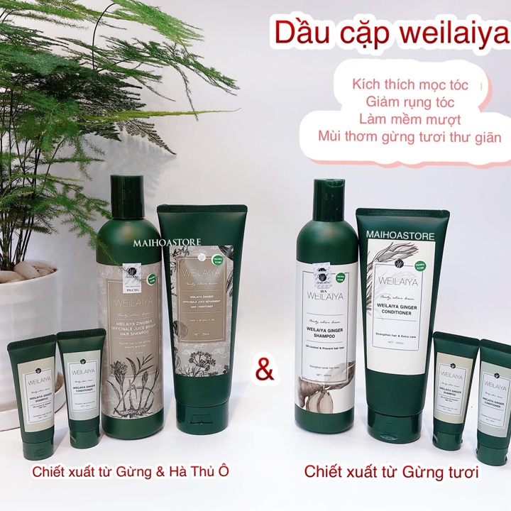 [Siêu Phẩm] Combo Dầu Gội &amp; Xả Gừng Hà Thủ Ô (Chai 400ml + Tuýp 250ml) - Giúp Giảm Rụng &amp; Kích Mọc Tóc Chỉ Sau 1 Lần Gội