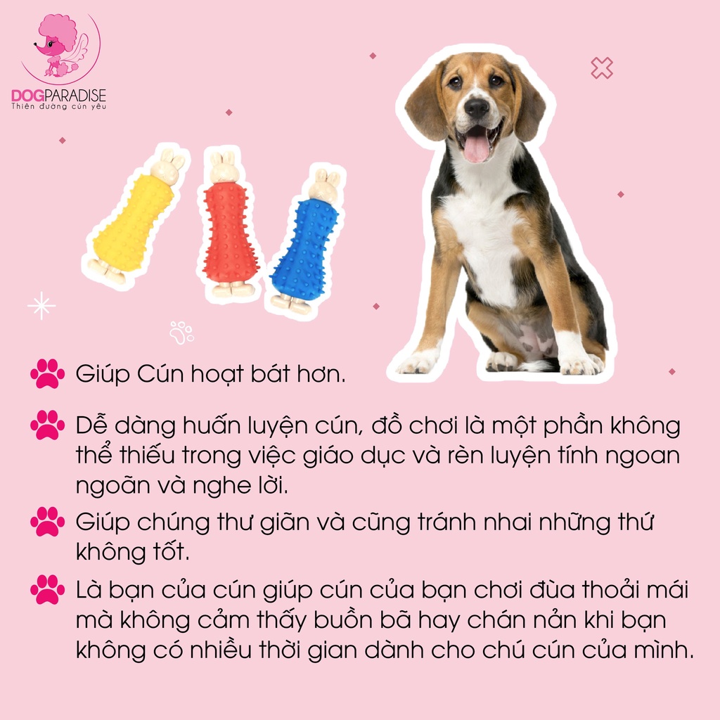 Đồ chơi giúp sạch răng cho chó  Pian Pian - Dog Paradise