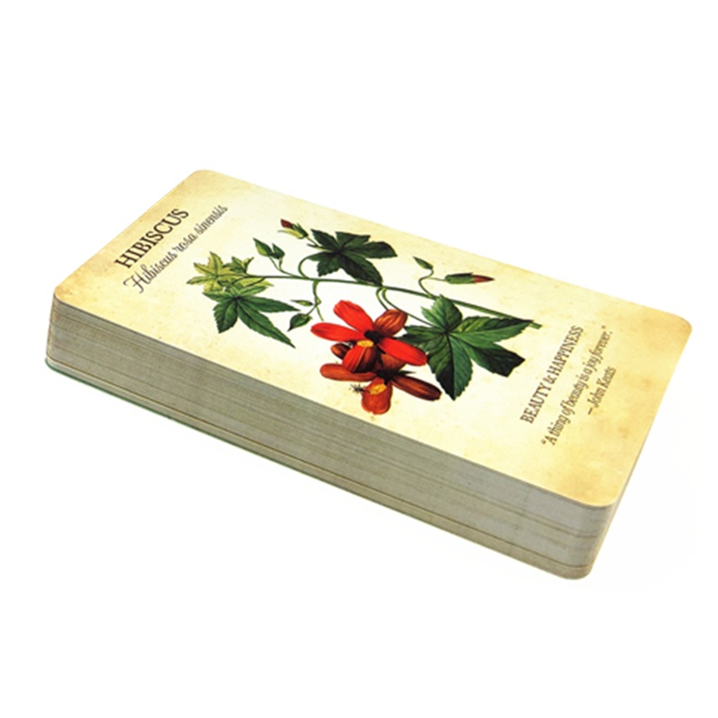 Bộ Bài Tarot 45 Lá Tiếng Anh Đầy Cảm Hứng