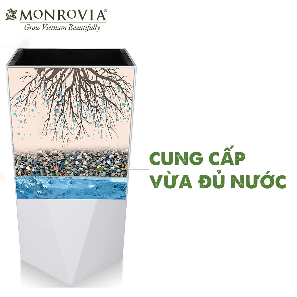 Chậu trồng cây tự tưới MONROVIA thông minh dưỡng cây cảnh trong nhà, chuyên decor trang trí nhà cửa, tiêu chuẩn châu Âu
