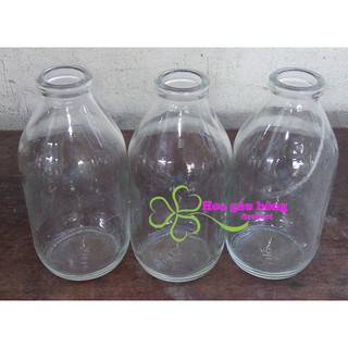 Bình thủy tinh làm bình hoa Handmade đủ loại