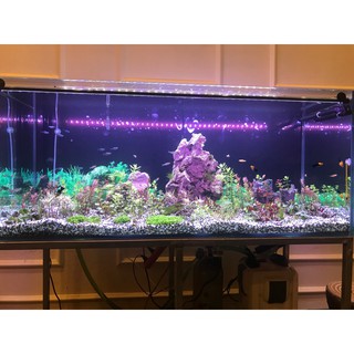 Đèn led chìm hồ cá 120cm
