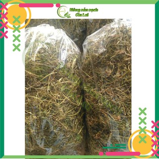 1kg Cây khổ qua rừng (mướp đắng rừng)