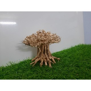 Lũa nấm bonsai cấy rêu hồ cá ( Ngan 15cm cao 10cm )