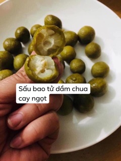 SẤU BAO TỬ CHUA NGỌT