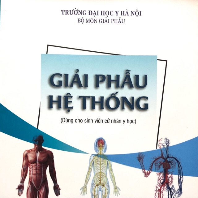 Sách - Giải phẫu học hệ thống