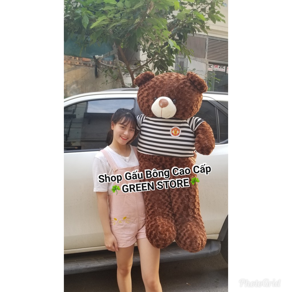 (Ảnh Thật 100%)-Gấu bông teddy 1m6 khổ vải - cao 1m4 Rẻ Vô Địch