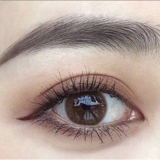 🍑 LENS BISCUIT BROWN NÂU TIA TRONG VEO ÁP TRÒNG KHÔNG GIÃN 🍑