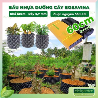 Bầu Nhựa Dưỡng Cây BoSaVina - Cuộn dài 50m, khổ cao 60cm - Ươm dưỡng cây trồng khỏe mạnh, lắp đặt dễ dàng, tặng kèm vít